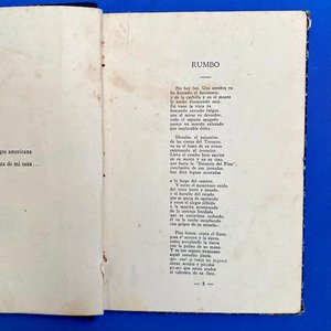Libro "Versos Criollos" de Elías Regules - Poesía Gauchesca Uruguaya - imagen 4