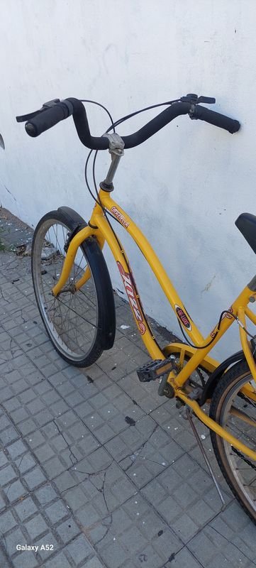 Item 900854 - Image 2