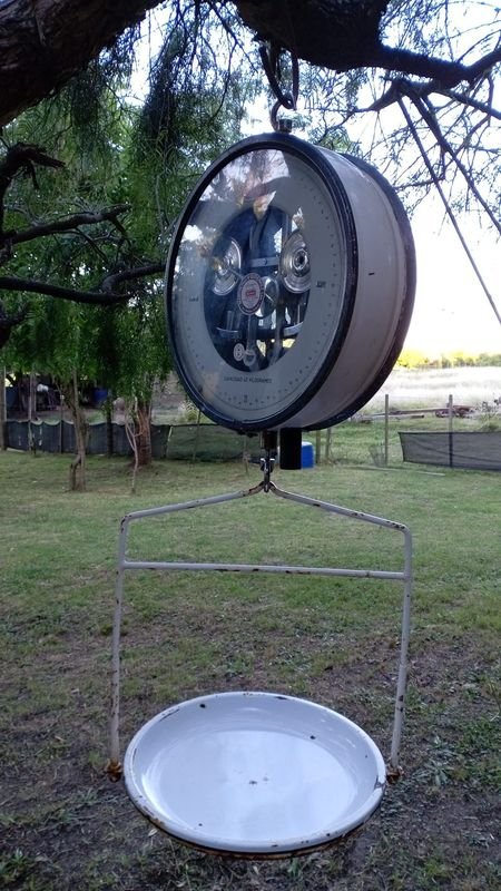 Balanza antigua de precisión con diseño clásico - imagen 2