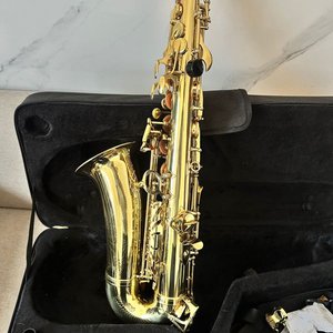 Saxofón Alabama Dorado con Estuche - imagen 9