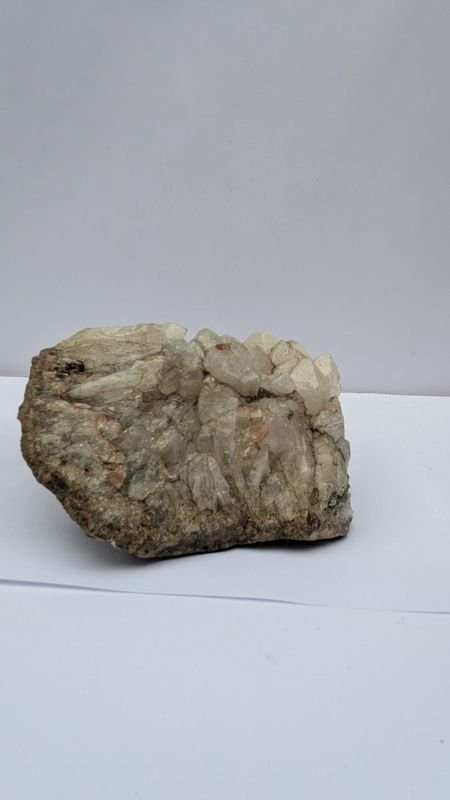 Item 883526 - Image 0