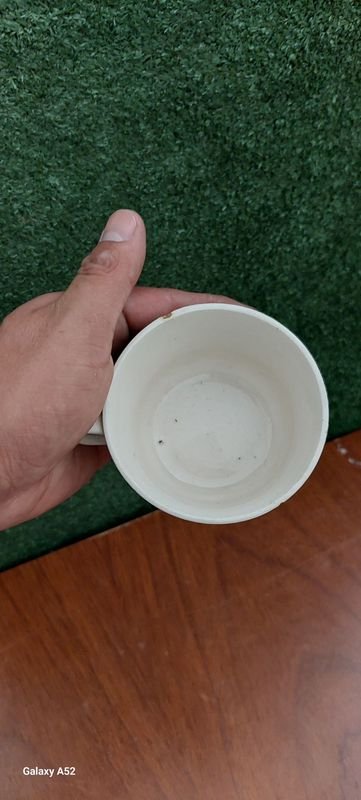 Platos y tazas de porcelana blanca y azul - imagen 20