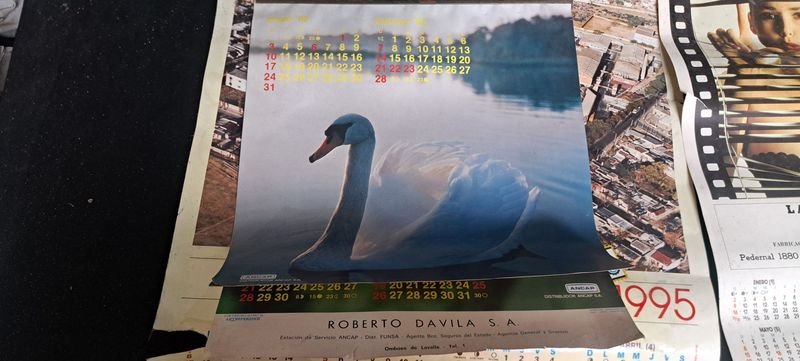 Calendarios de FUNSA y ANCAP (Animales) - imagen 5