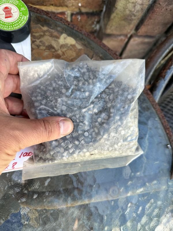 Chumbos 5,5 mas de 3000 - Equipamiento de Tiro - imagen 3