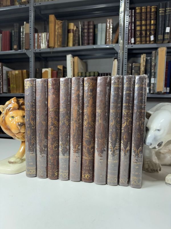 Item 879444 - Image 0