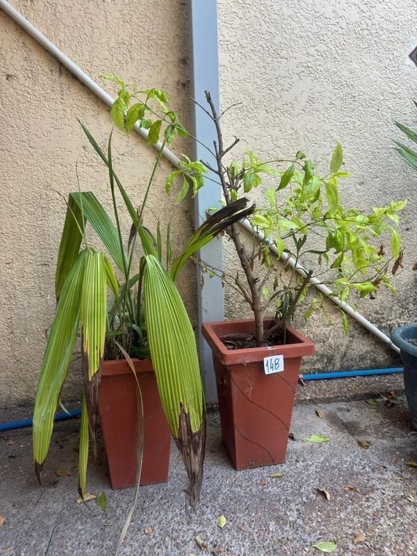 Item 892404 - Image 0