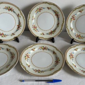 Juego de 6 Platos de Porcelana con Flores y Borde Dorado - imagen 1