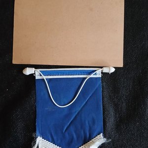 Banderín y Postal Vintage Club Nacional de Football "Campeón de América" - imagen 2