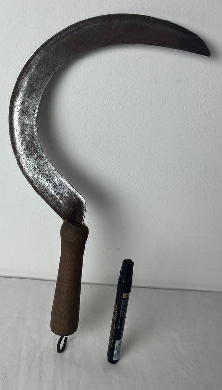 Item 854845 - Image 4