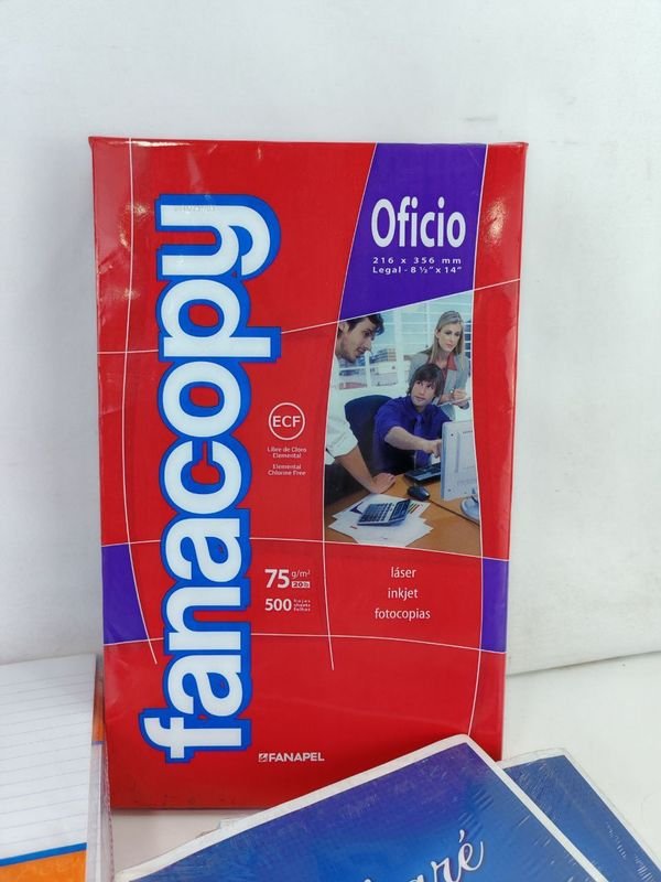 Lote de Papeleia y Libros Variados - imagen 2