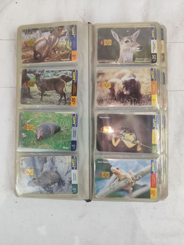 Item 841747 - Image 3