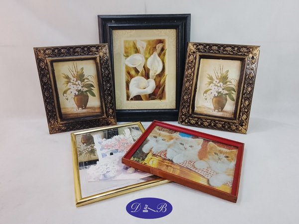 Lote de 5 Cuadros Decorativos con Marcos Variados
