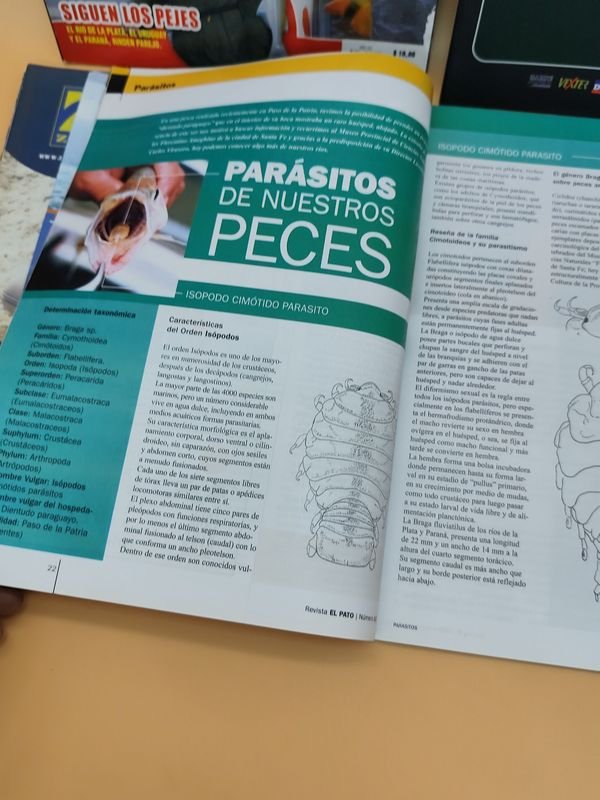 Revistas de Pesca y Embarcaciones - imagen 7