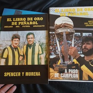 Colección Completa "El Libro de Oro de Peñarol" Fascículos Editorial Elcar - imagen 5