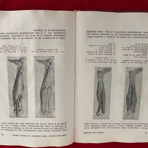 Libro "La Técnica del Ciclismo" - Manual para Aprender a Correr en Bicicleta - imagen 6