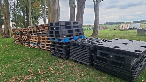 Lote de Pallets de Madera y Plástico