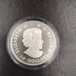 Moneda de Plata Canadiense "Great Blue Heron" 2017 - 10 Dólares - imagen 7