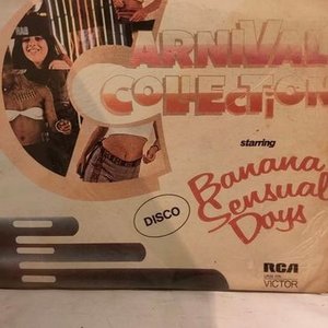 Disco de Vinilo Carnival Collection Starring Banana Sensual Days - imagen 2