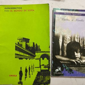 Lote anterior: Guía Didáctica para el Mundo de Sofía y Cartas a Nicolás de Ramón Igarzabal