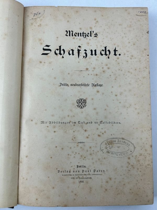 Libro técnico sobre ganadería de ovejas, 1892, Paul Parey, Berlín - imagen 2