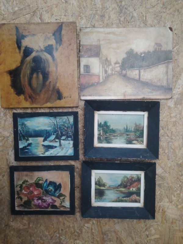 Lote de 5 Cuadros: Retrato de Perro, Paisajes y Flores