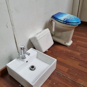 Juego de Baño Completo: Inodoro con Tapa Decorada, Cisterna y Bacha de Loza con Canilla - imagen 4