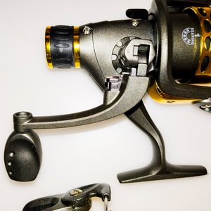 2 Reels frontal - imagen 3