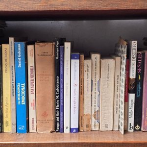 Selección de Novelas y Cuentos Infantiles Clásicos - imagen 3