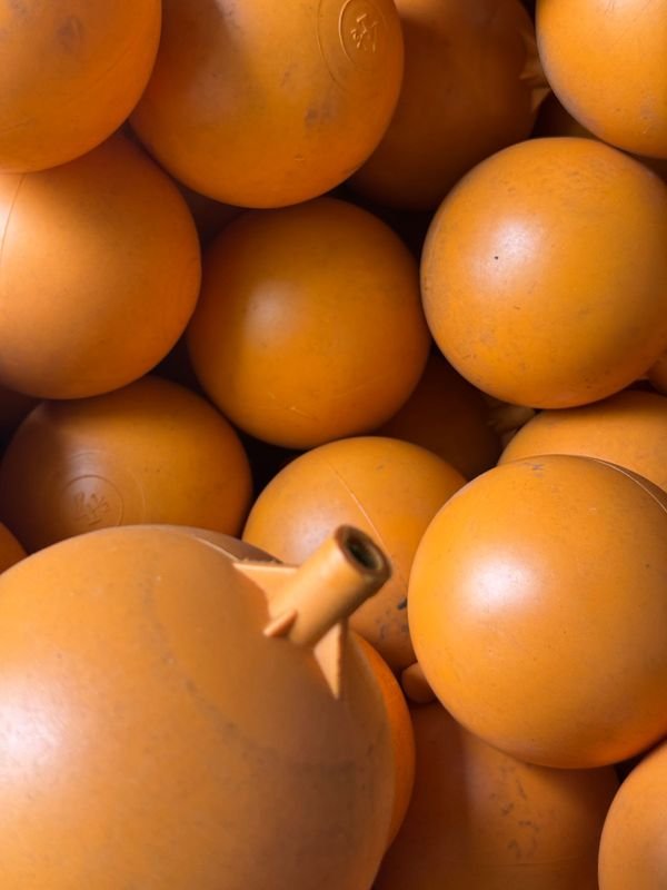 Bolsas de plástico con bolas y naranjas en una caja - imagen 3