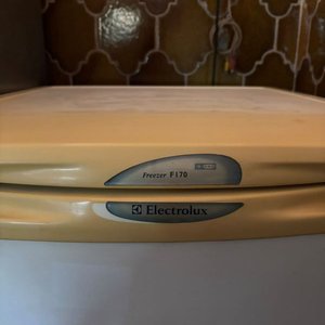 Freezer vertical de la marca Electrolux, modelo Freezer F170 - imagen 1