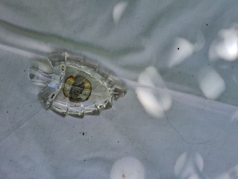 Item 869544 - Image 0