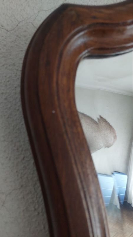 Item 838858 - Image 3