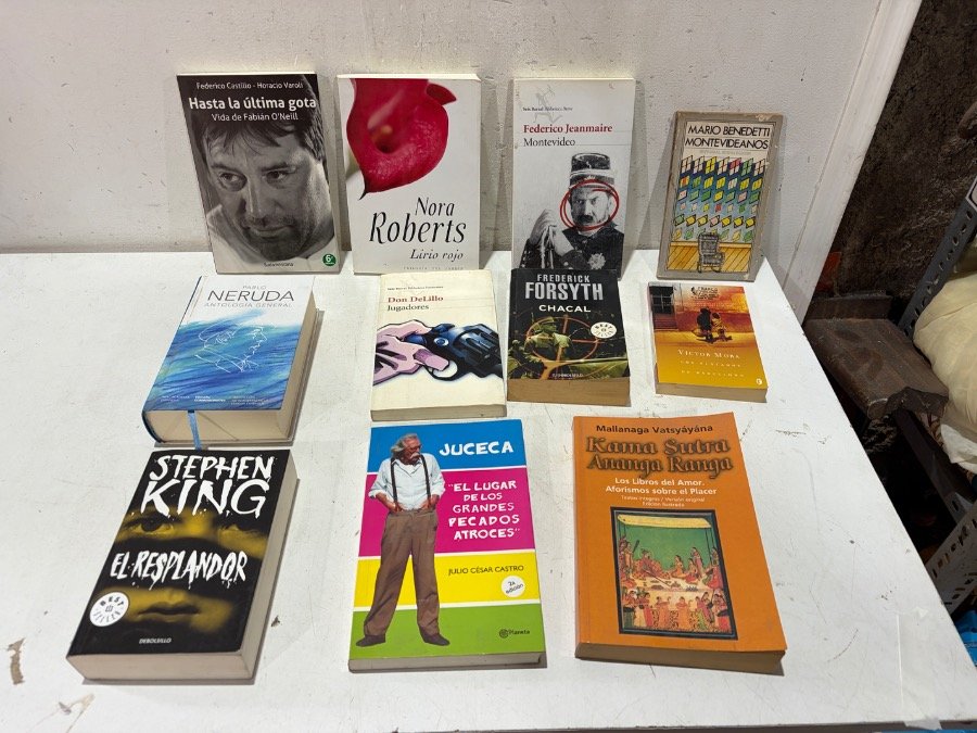 Lote de Libros Variados: Stephen King, Noria Roberts, Federico Monteverde y Más