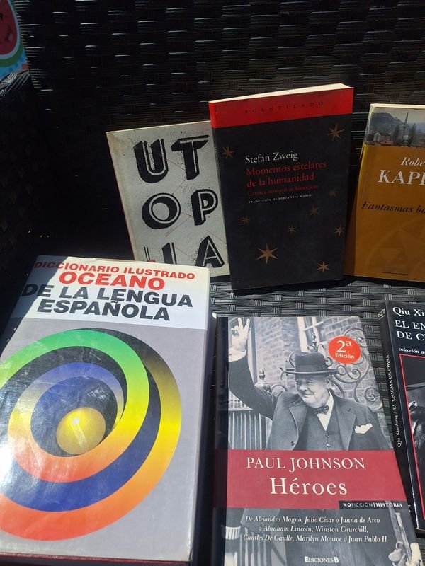 Colección de libros y diccionario en español - imagen 4