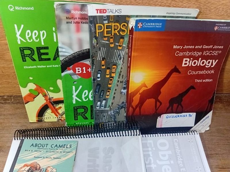 Colección de 5 libros en inglés - imagen 2