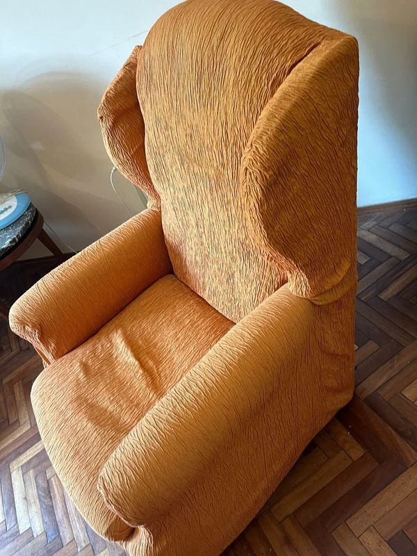 Lote siguiente: Sillón bergere con funda de cuero