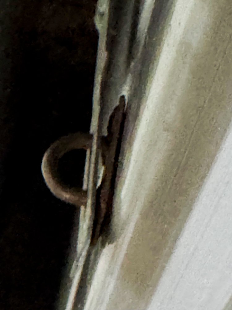 Item 491141 - Image 6