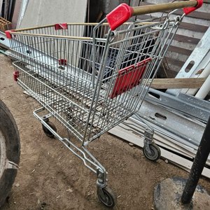 Lote anterior: Carrito grande (usos varios)