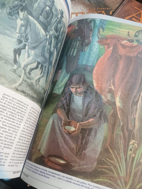Colección de libros sobre Artigas en excelente condición - imagen 6