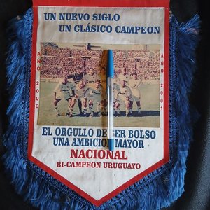 Banderín de Nacional "Bi-Campeón Uruguayo 2000-2001" con Flecos Azules - imagen 2