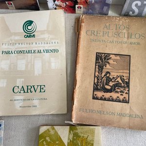 Colección de Libros de Fulvio Nelson Maddalena y Luis Carro - imagen 4