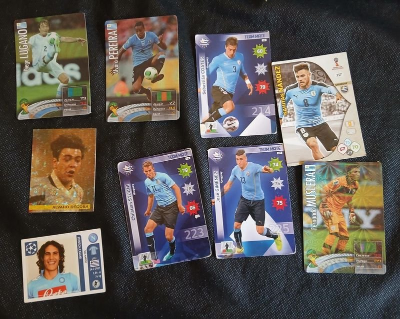 Colección de Figuritas y Cromos de Fútbol: Uruguay, Champions League y Copa América