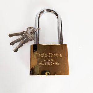 Lote anterior: 6 Candados aro largo 63 mm