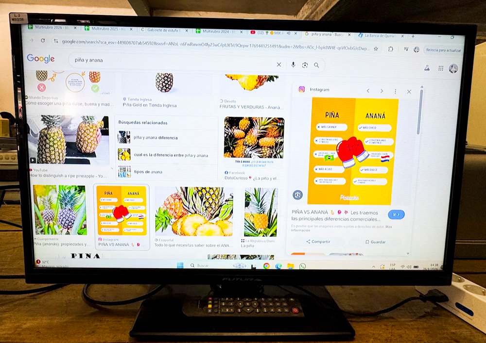 Item 495876 - Image 0