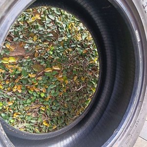 Cubierta Goodyear EfficientGrip 225/50R17 - imagen 6