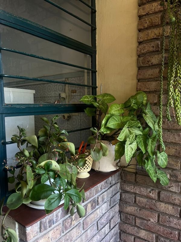 Item 867619 - Image 2