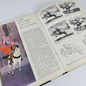 Maravillas de los Dibujos Animados de Walt Disney - Ediciones Gaisa - imagen 3