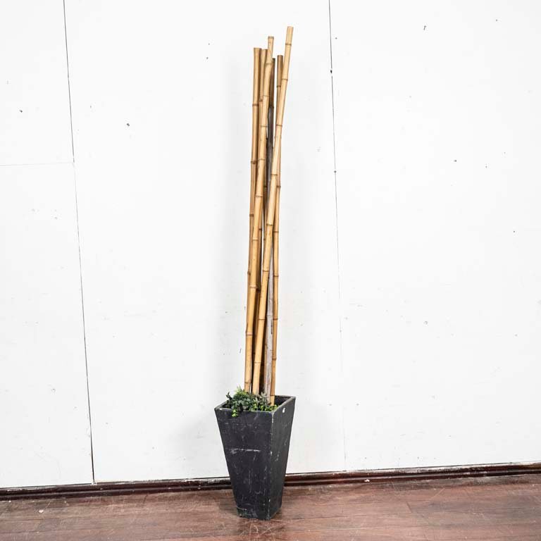 Item 2097529 - Image 0