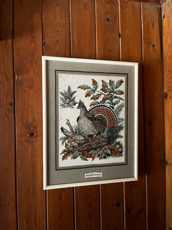 Colección de cuadritos decoración estilo aves - imagen 1