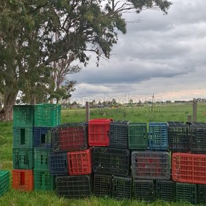 Lote siguiente: Lote de Cajas Plásticas Apilables de Colores
